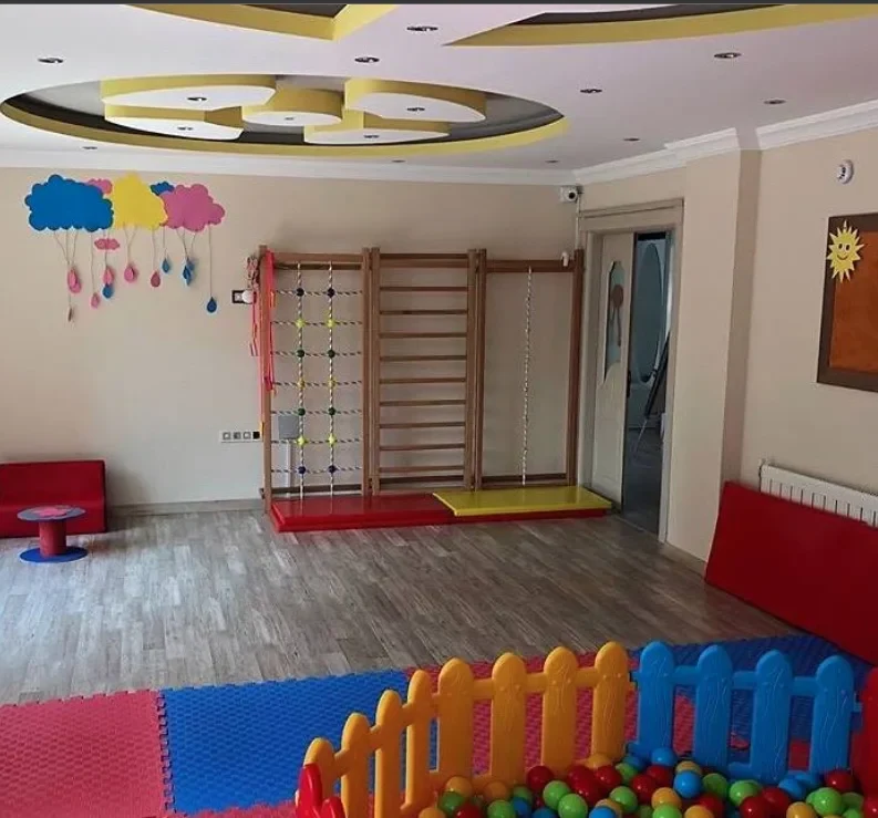 Tırmanma duvarı, ahşap salıncak ve top havuzu